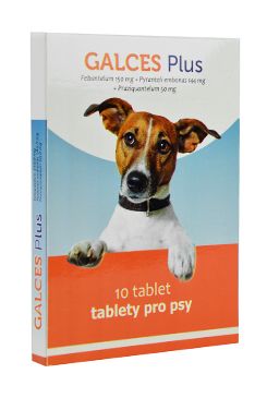 Galces Plus 10tbl