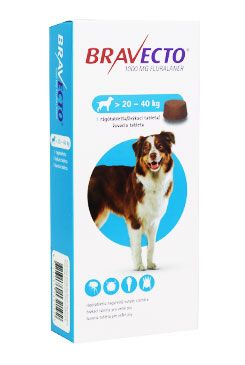 Bravecto TBL L 1000mg 1x1tbl  (pes 20-40kg) PRODEJ POUZE V ORDINACI