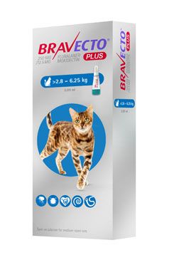 Bravecto Plus Spot on Cat M 250mg/12.5mg(>2,8-6,25 kg) PRODEJ POUZE V ORDINACI