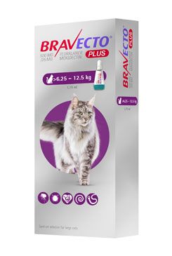 Bravecto Plus Spot on Cat L 500mg/25mg (>6,25-12,5 kg) PRODEJ POUZE V ORDINACI